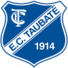 陶巴特女足